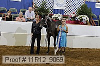 11r12_9069 proof