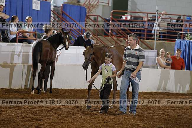 Proof 11r12_9070