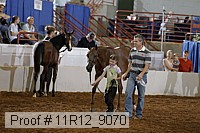 11r12_9070 proof