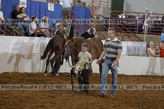 Proof 11r12_9071