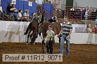 11r12_9071 proof