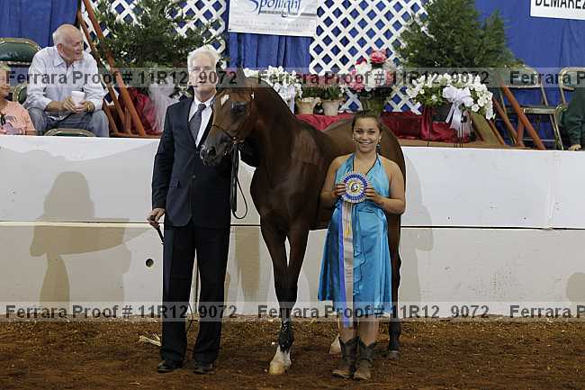 Proof 11r12_9072