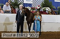 11r12_9072 proof