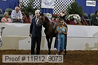 11r12_9073 proof
