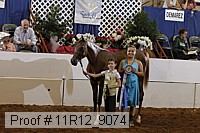 11r12_9074 proof