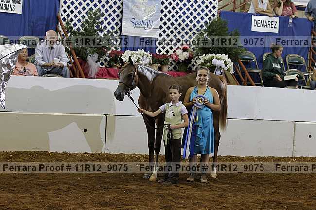 Proof 11r12_9075