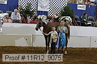 11r12_9075 proof