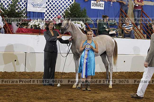 Proof 11r12_9076