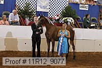 11r12_9077 proof
