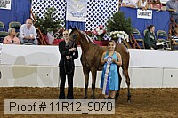 11r12_9078 proof