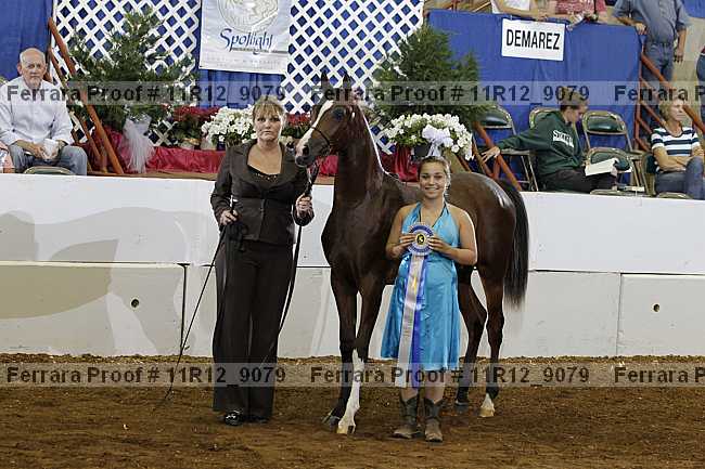 Proof 11r12_9079