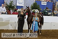 11r12_9079 proof