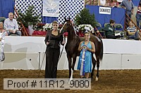 11r12_9080 proof