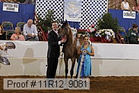 11r12_9081 proof