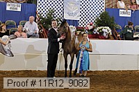 11r12_9082 proof