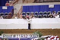 11r12_9083 proof