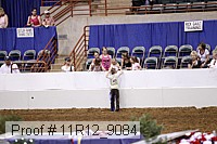 11r12_9084 proof