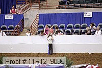 11r12_9085 proof
