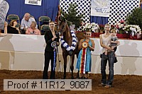 11r12_9087 proof
