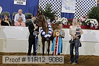 11r12_9088 proof