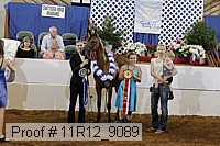 11r12_9089 proof