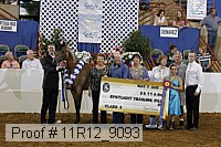 11r12_9093 proof