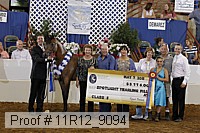 11r12_9094 proof