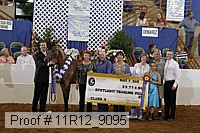 11r12_9095 proof