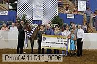 11r12_9096 proof