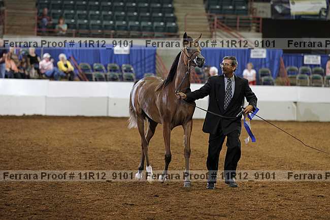 Proof 11r12_9101