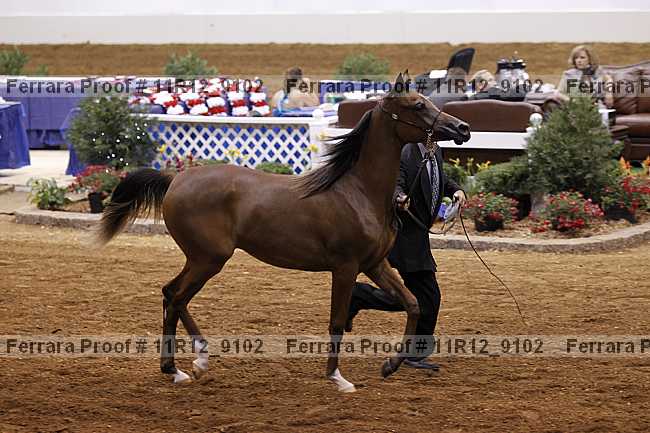 Proof 11r12_9102