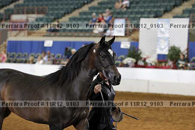 Proof 11r12_9103