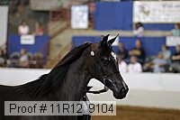 11r12_9104 proof