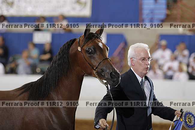 Proof 11r12_9105