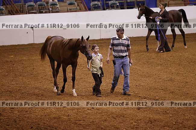 Proof 11r12_9106