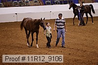 11r12_9106 proof