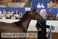 11r12_9107 proof