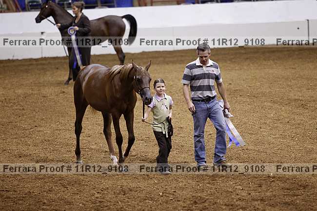 Proof 11r12_9108