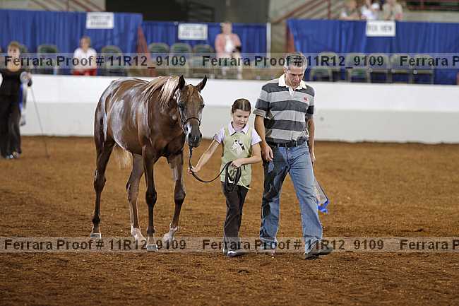 Proof 11r12_9109