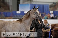 11r12_9111 proof