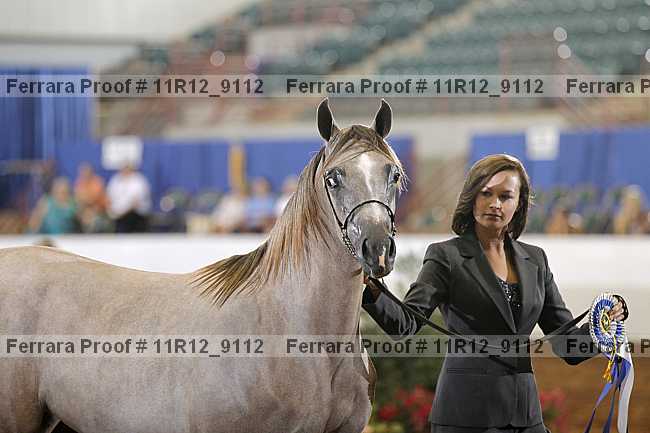 Proof 11r12_9112
