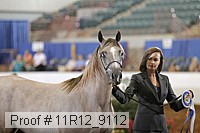 11r12_9112 proof