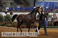11r12_9113 proof
