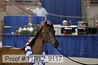 11r12_9117 proof