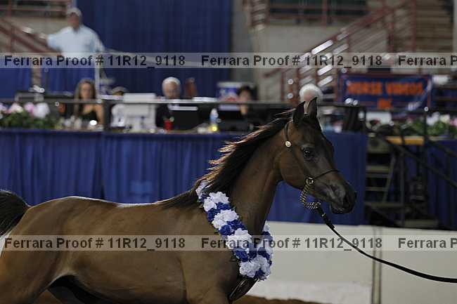 Proof 11r12_9118