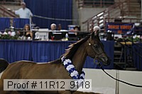 11r12_9118 proof