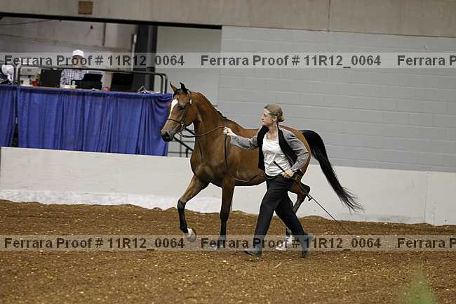 Proof 11r12_0064