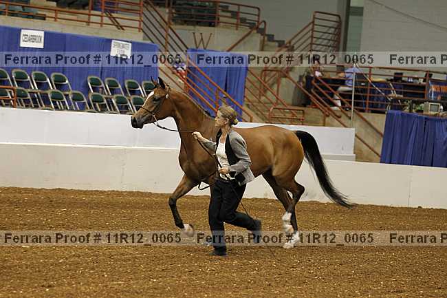 Proof 11r12_0065