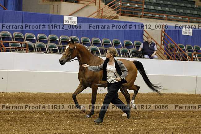 Proof 11r12_0066