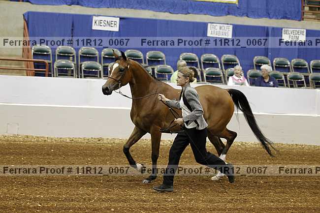 Proof 11r12_0067